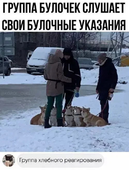 Дички на веселую недельку