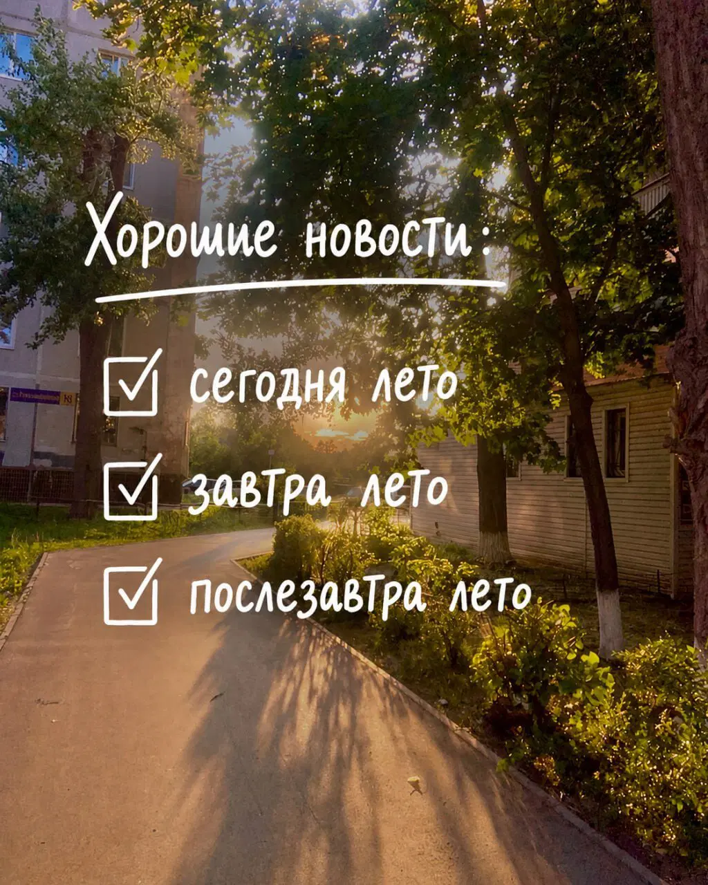 Дички на веселую недельку