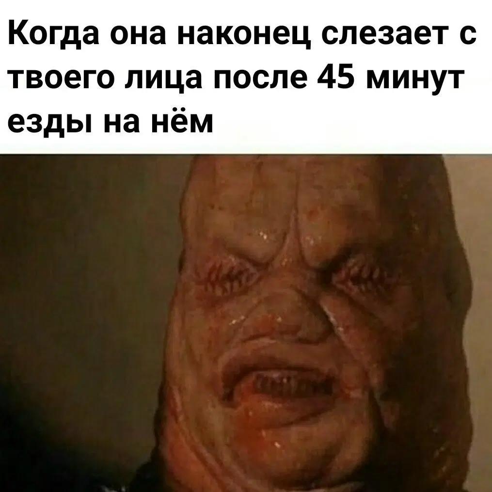 Дички на веселую недельку