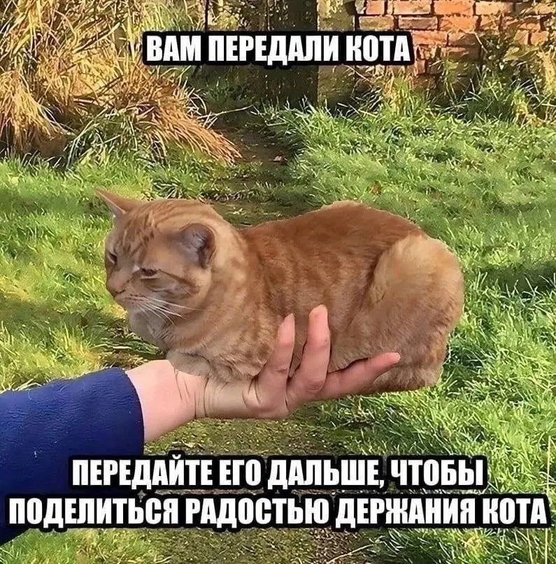 Дички на веселую недельку