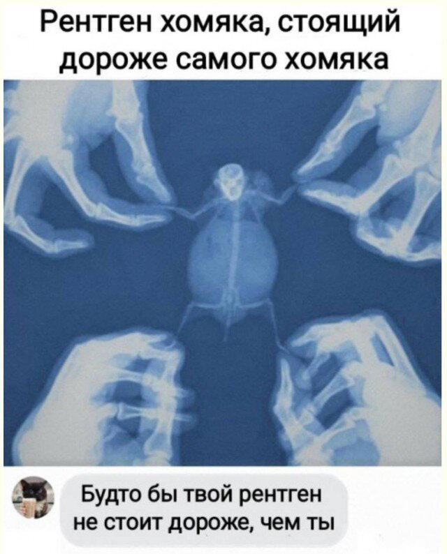 Дидидичко