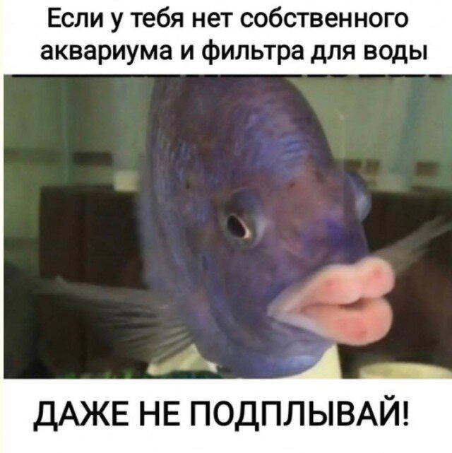 Дидидичко