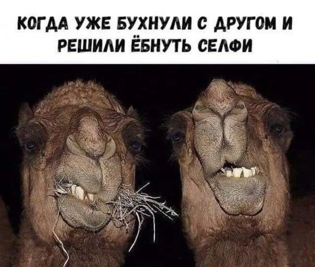 Дидидичко