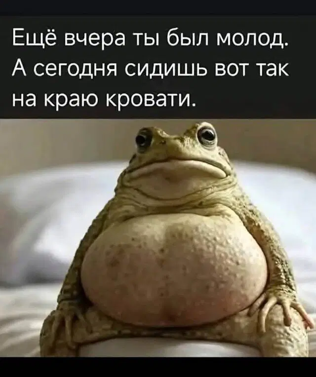 Средочная дичка