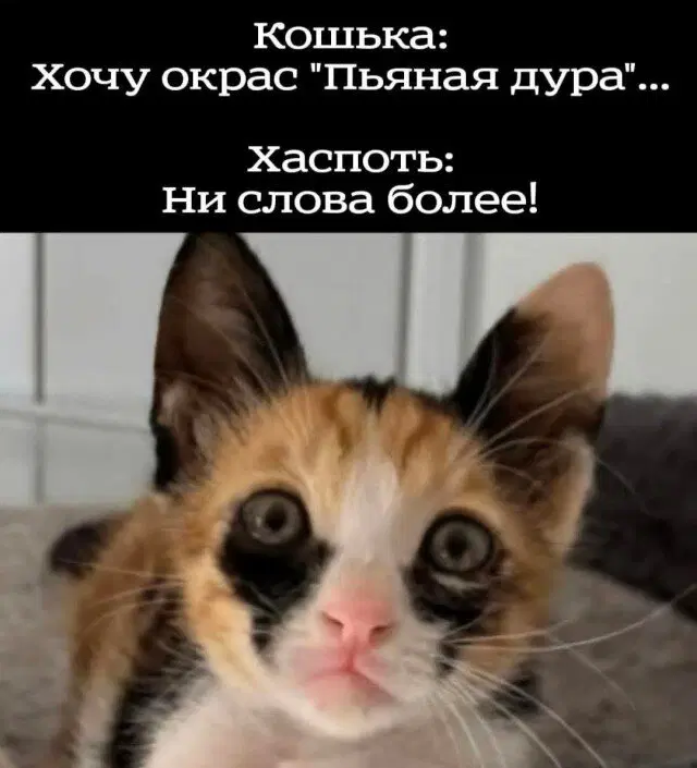 Средочная дичка
