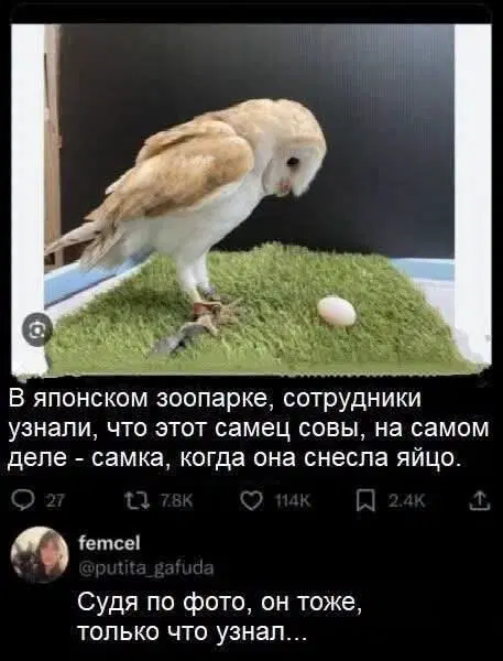 Средочная дичка