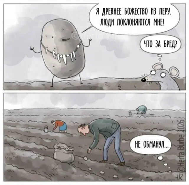 Средочная дичка