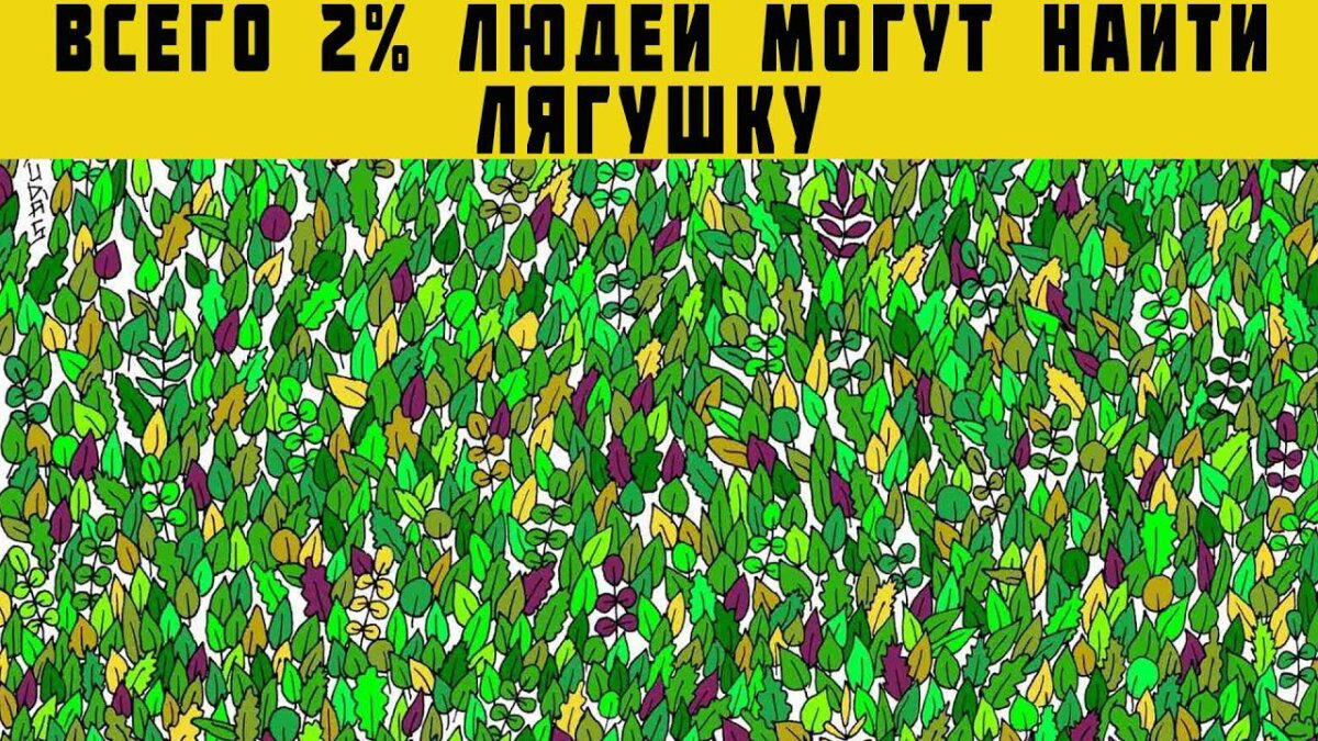 Средочная дичка