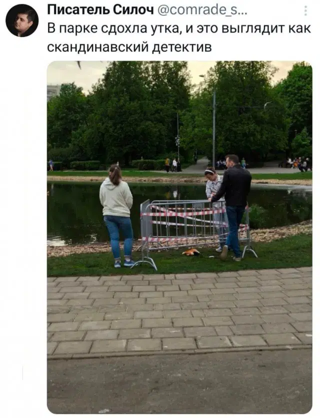 Дички в утро
