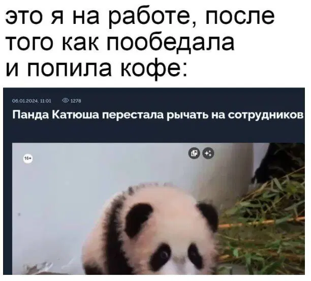 Дички в утро