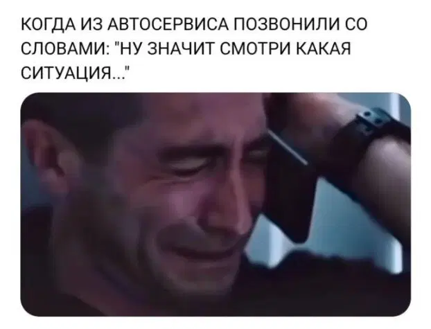 Дички в утро