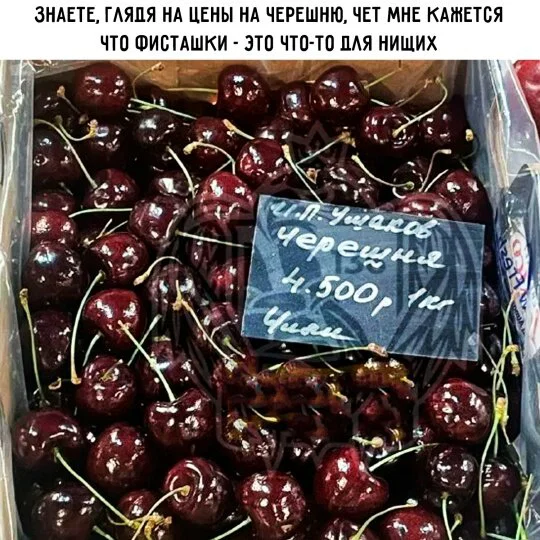 Короткая дичь