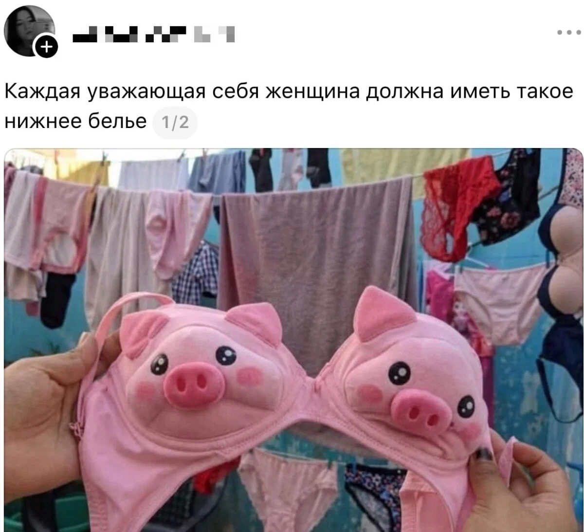 Короткая дичь