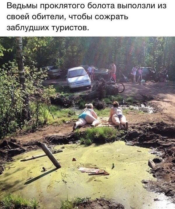 Короткая дичь