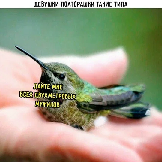 Дички нужно употреблять