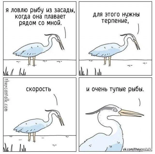 Дички нужно употреблять