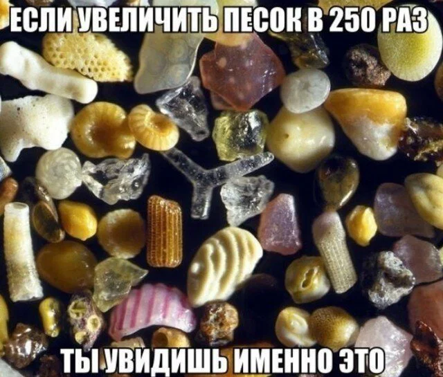 Дички нужно употреблять