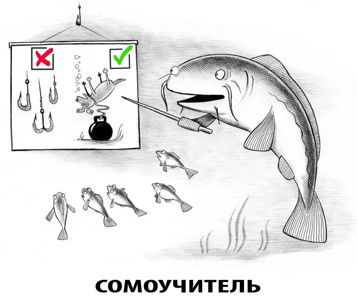 Сомовое 2