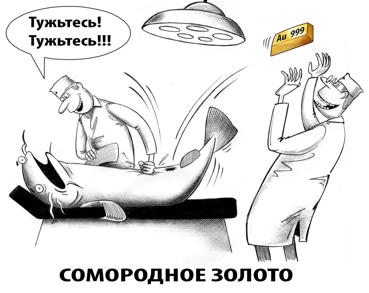 Сомовое 2