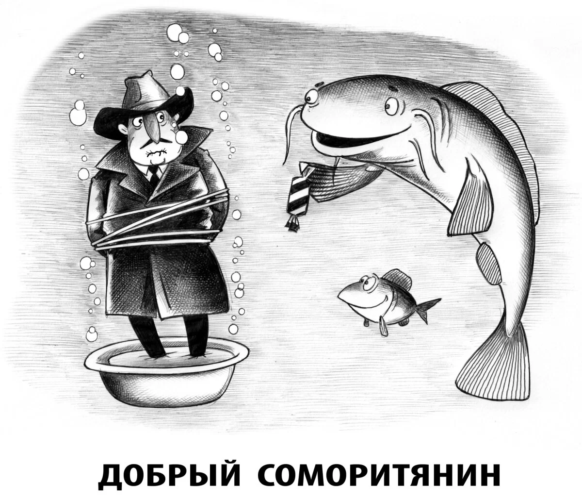 Сомовое 2