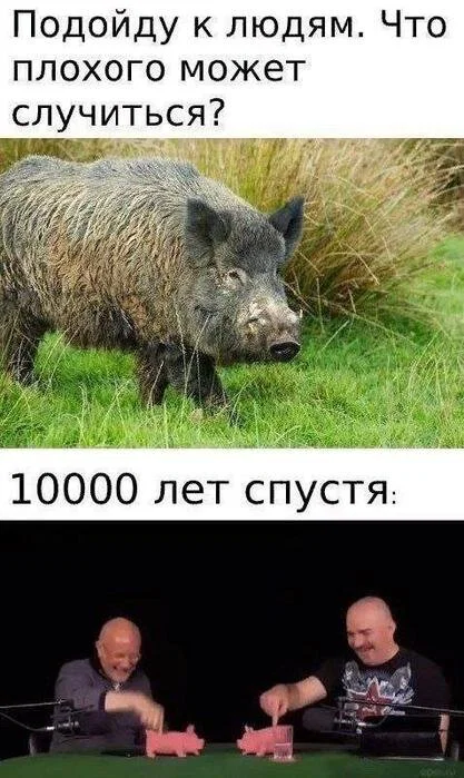дички в отпуск
