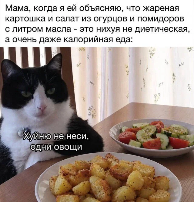дички в отпуск