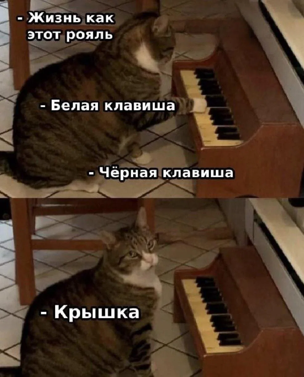 дички в отпуск
