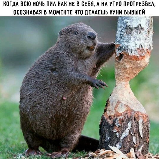 дички в отпуск