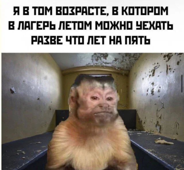 дичка в отпуск