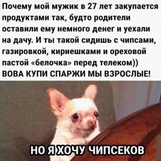 дичка в отпуск
