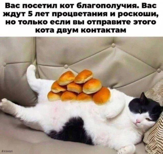 дичка в отпуск