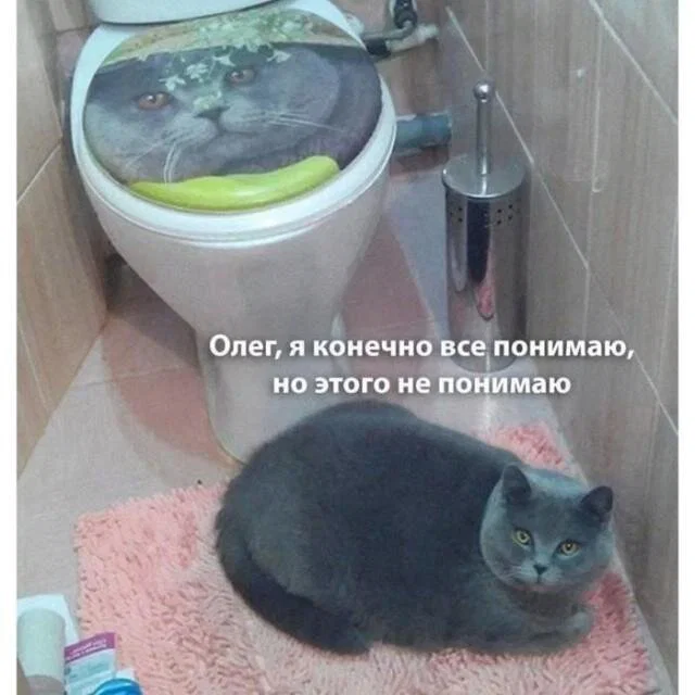 дичка в отпуск