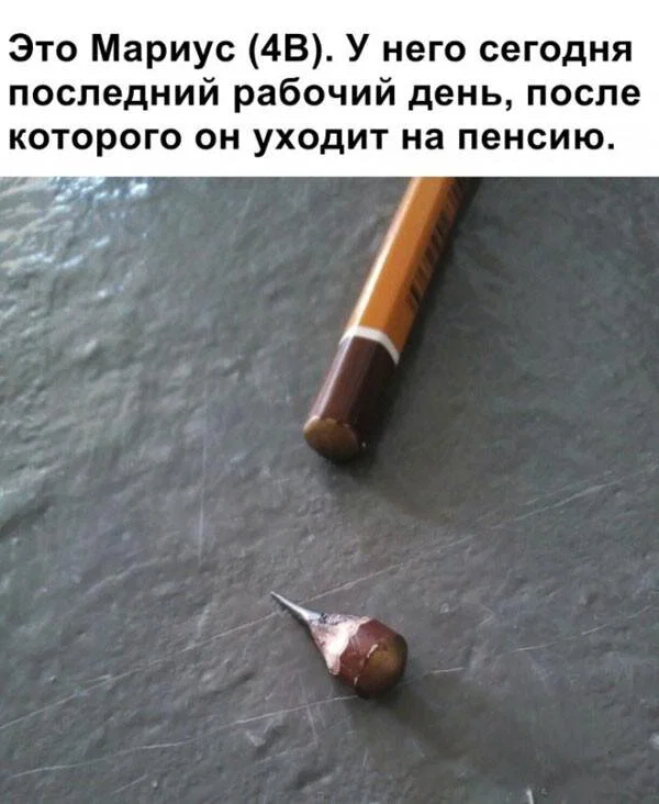 дичка в отпуск