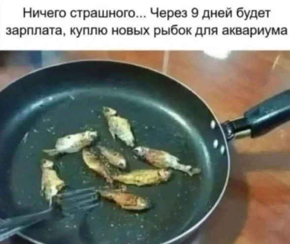 дичка в отпуск