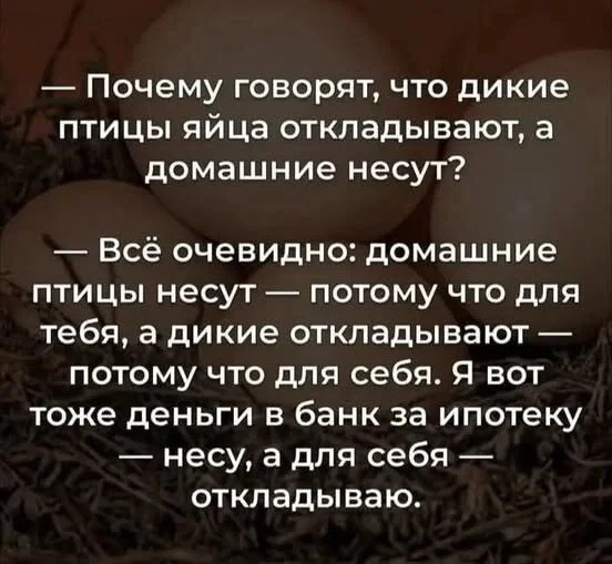 Дичка в отпуск (выдержим маршруты )