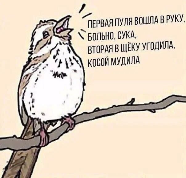 Дичка в отпуск (выдержим маршруты )