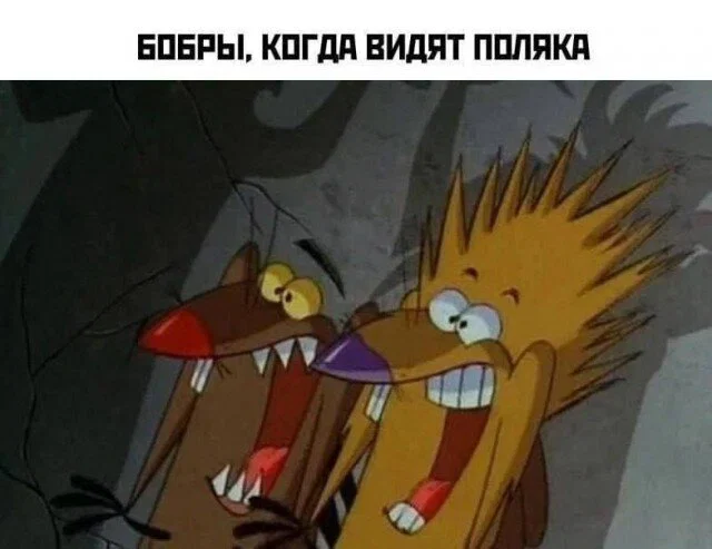 Дичка в отпуск (выдержим маршруты )
