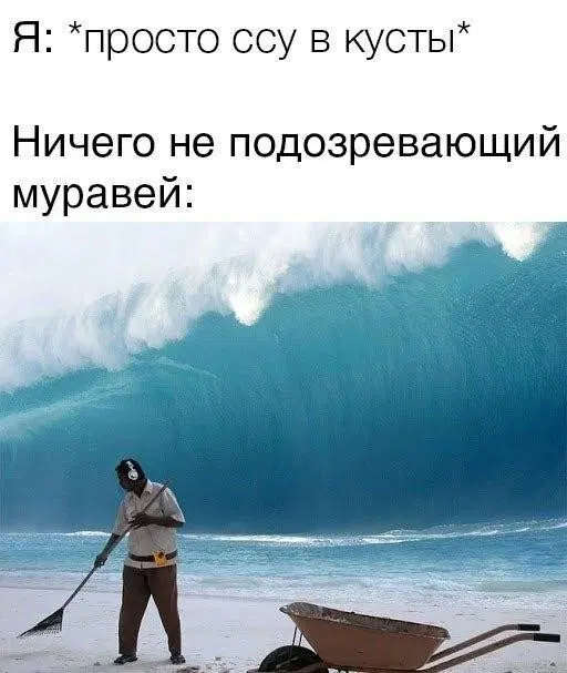 Дичка в отпуск (выдержим маршруты )