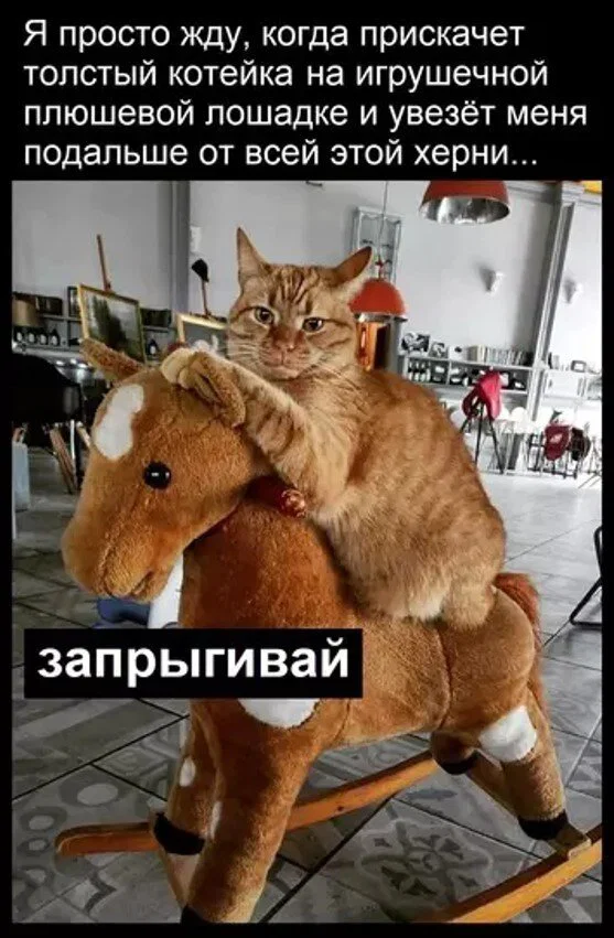 Дичка в отпуск (выдержим маршруты )
