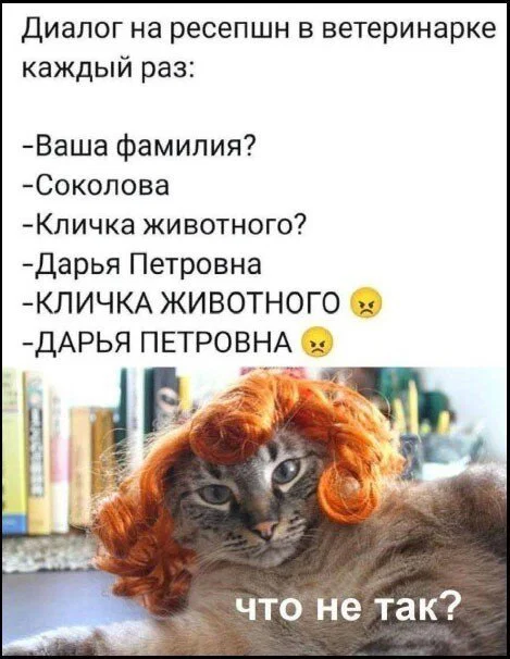 Дичка в отпуск (выдержим маршруты )