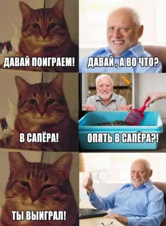 Дичка в отпуск (выдержим маршруты )