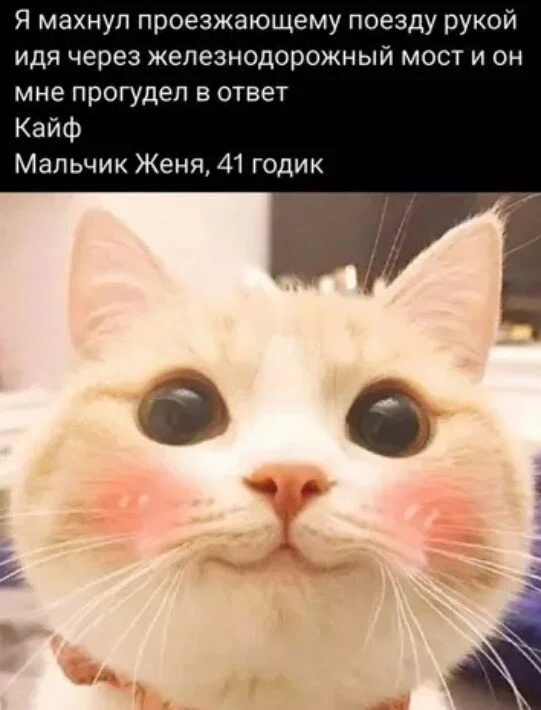 Дичка в отпуск (выдержим маршруты )