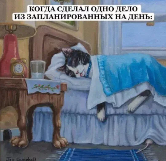Дичка в отпуск (выдержим маршруты )