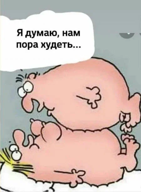 Дичка в отпуск (выдержим маршруты )