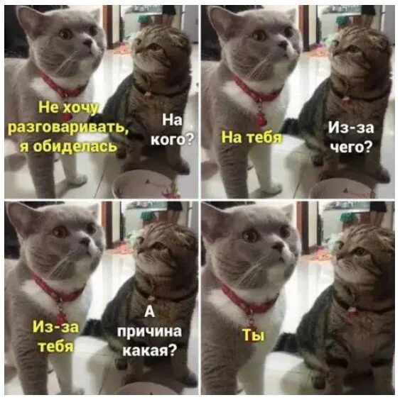 Дичка в отпуск (выдержим маршруты )