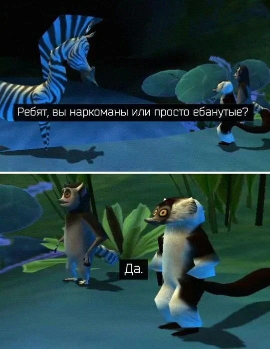 Дичка в отпуск (выдержим маршруты )