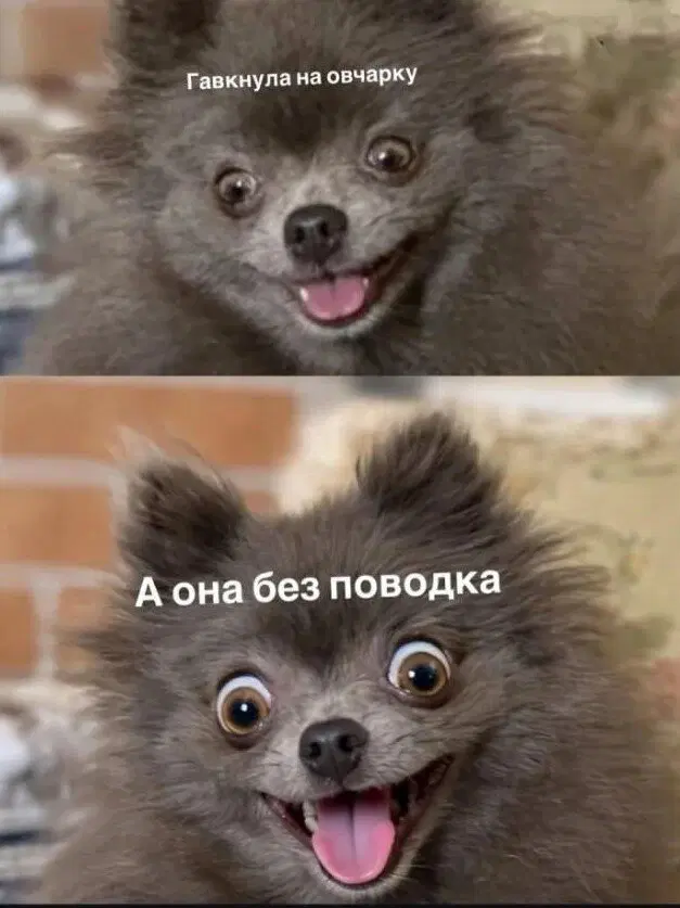 Дичка в отпуск (выдержим маршруты )