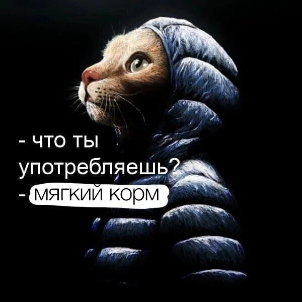 Дичка в отпуск (выдержим маршруты )