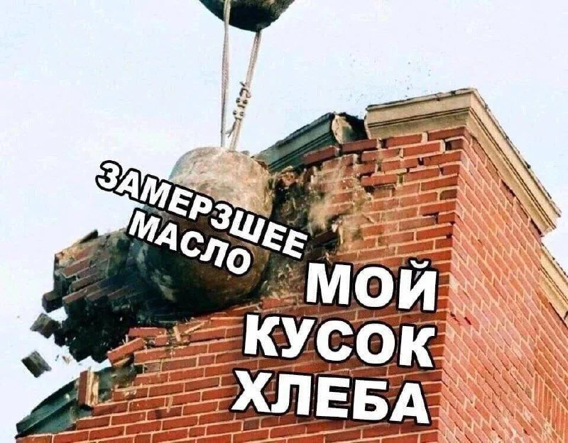 Дичка в отпуск (быстрее бы доехать)