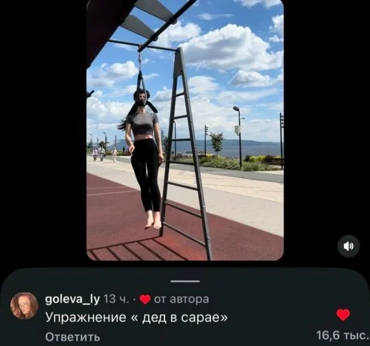Дичка в отпуск (быстрее бы доехать)